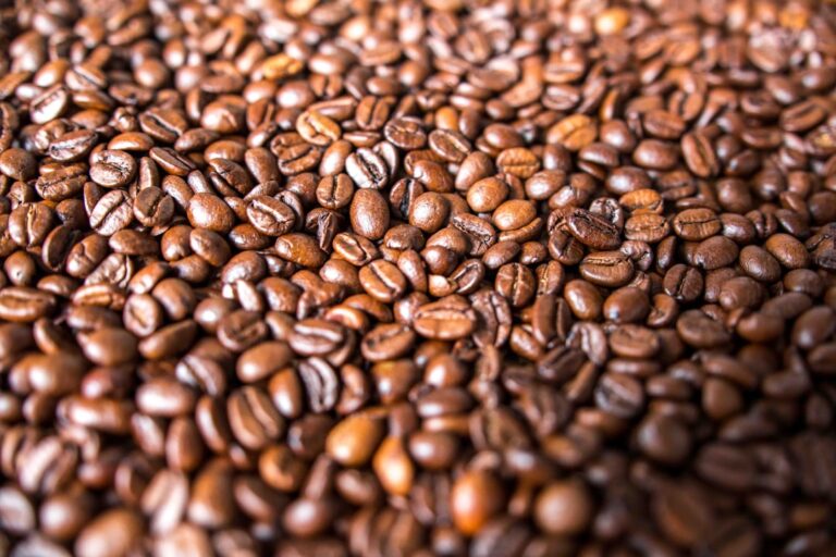 Discover the Best Coffee Beans for Your Perfect Brew